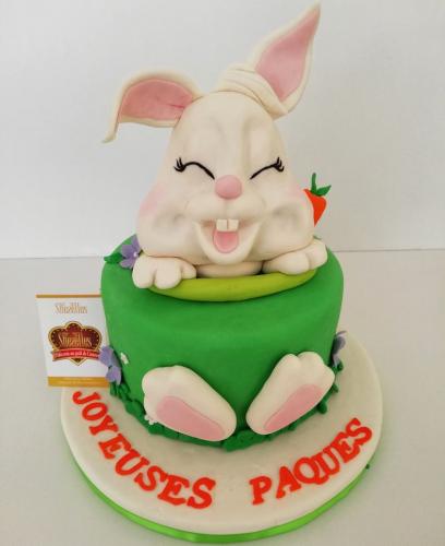 Gâteau Anniversaire Animaux Gâteau Animal Foret Ferme Lapin