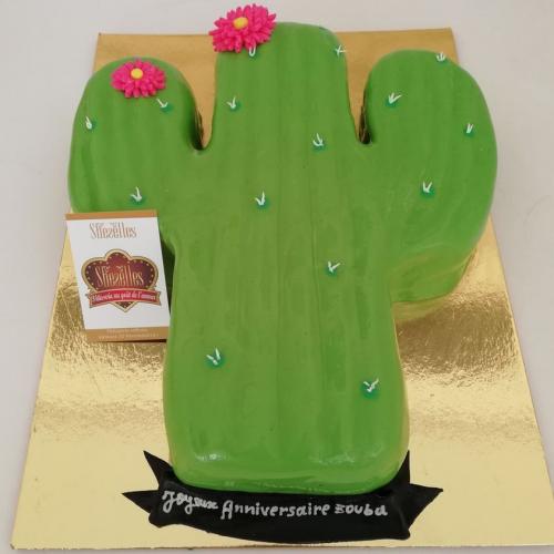 Gâteau Anniversaire Thème Personnalise Gâteau Cactus 