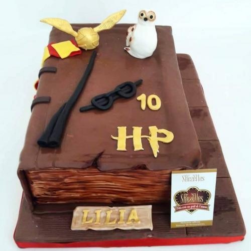 Gâteau Anniversaire Thème Personnalise Gâteau Harry Potter