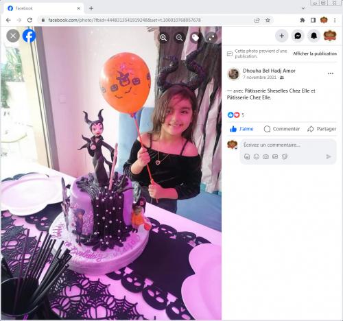 Avis Gâteaux anniversaire 3D Beau Jolie Bon Très Bon Ravie Témoignages Sheselles