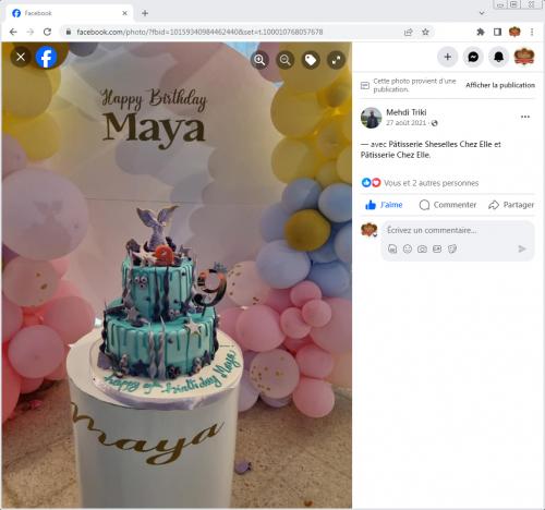 Avis Gâteaux anniversaire 3D Beau Jolie Bon Très Bon Ravie Témoignages Sheselles