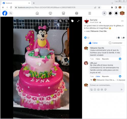 Avis Gâteaux anniversaire 3D Beau Jolie Bon Très Bon Ravie Témoignages Sheselles