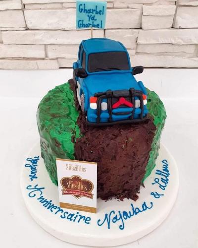 Gâteau anniversaire camion avion train roue auto moto tracteur avion pilote