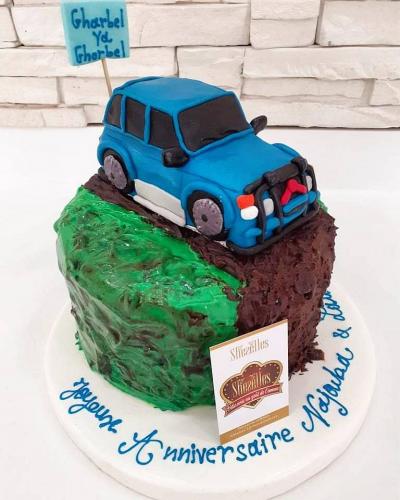 Gâteau anniversaire camion avion train roue auto moto tracteur avion pilote