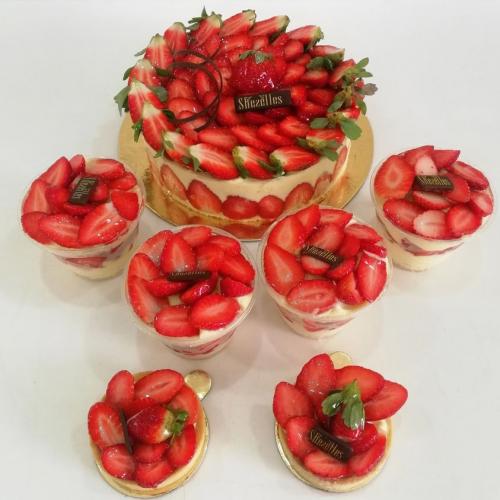 Gâteau aux fruits gâteau fruités fraisier charlotte aux fruits fraise framboise fruits