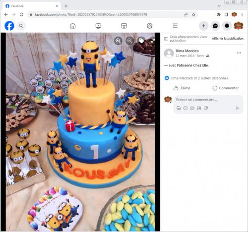 Avis Gâteaux anniversaire 3D Beau Jolie Bon Très Bon Ravie Témoignages Sheselles