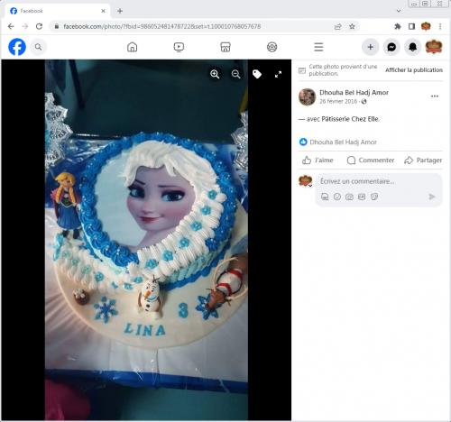 Avis Gâteaux anniversaire 3D Beau Jolie Bon Très Bon Ravie Témoignages Sheselles