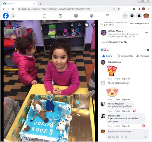 Avis Gâteaux anniversaire 3D Beau Jolie Bon Très Bon Ravie Témoignages Sheselles