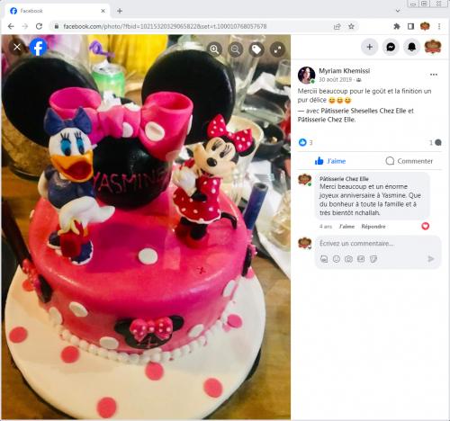Avis Gâteaux anniversaire 3D Beau Jolie Bon Très Bon Ravie Témoignages Sheselles