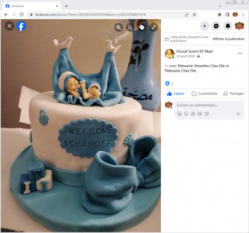 Avis Gâteaux anniversaire 3D Beau Jolie Bon Très Bon Ravie Témoignages Sheselles