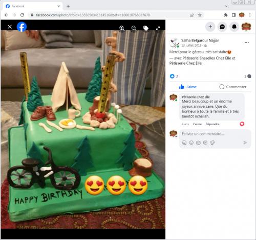 Avis Gâteaux anniversaire 3D Beau Jolie Bon Très Bon Ravie Témoignages Sheselles