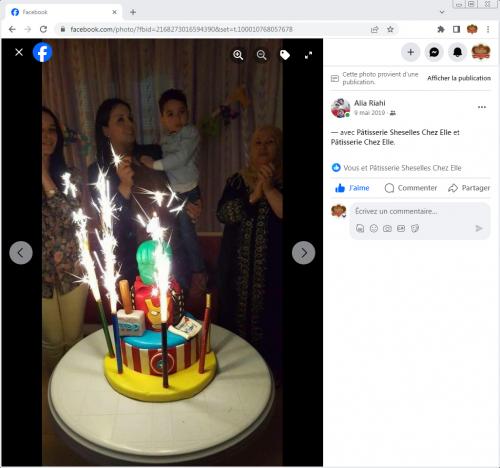 Avis Gâteaux anniversaire 3D Beau Jolie Bon Très Bon Ravie Témoignages Sheselles