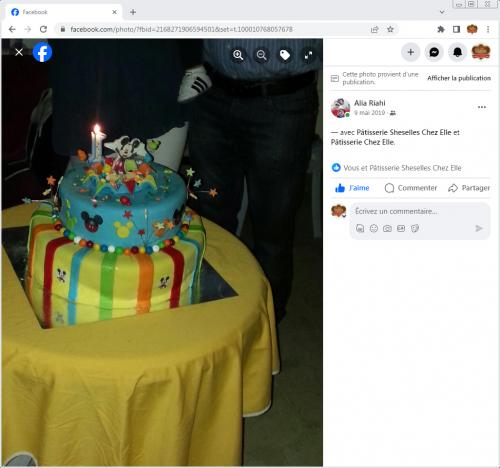 Avis Gâteaux anniversaire 3D Beau Jolie Bon Très Bon Ravie Témoignages Sheselles