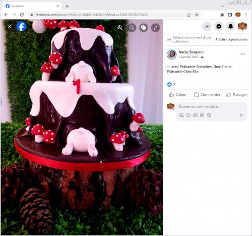 Avis Gâteaux anniversaire 3D Beau Jolie Bon Très Bon Ravie Témoignages Sheselles