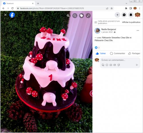 Avis Gâteaux anniversaire 3D Beau Jolie Bon Très Bon Ravie Témoignages Sheselles