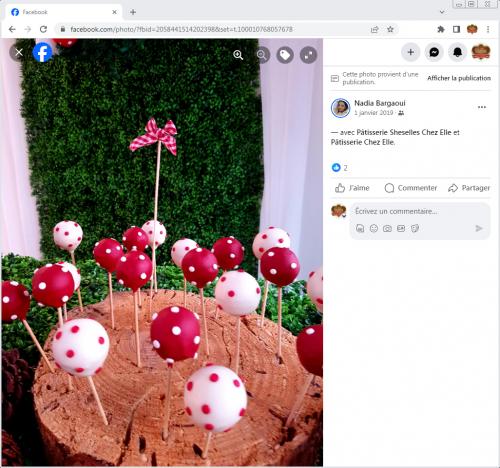 Avis Gâteaux anniversaire 3D Beau Jolie Bon Très Bon Ravie Témoignages Sheselles