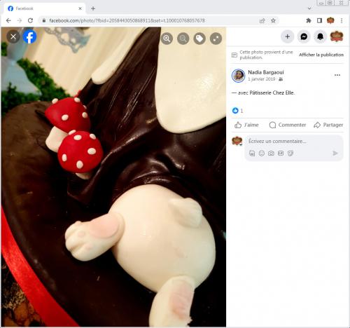 Avis Gâteaux anniversaire 3D Beau Jolie Bon Très Bon Ravie Témoignages Sheselles