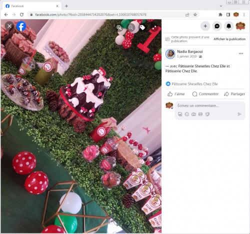 Avis Gâteaux anniversaire 3D Beau Jolie Bon Très Bon Ravie Témoignages Sheselles