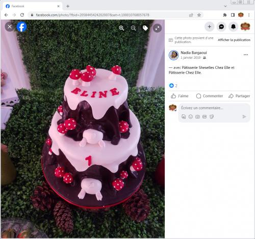 Avis Gâteaux anniversaire 3D Beau Jolie Bon Très Bon Ravie Témoignages Sheselles