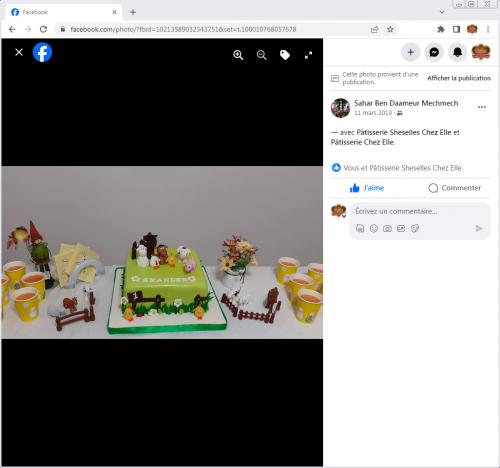 Avis Gâteaux anniversaire 3D Beau Jolie Bon Très Bon Ravie Témoignages Sheselles