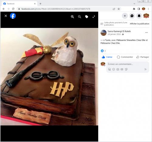 Avis Gâteaux anniversaire 3D Beau Jolie Bon Très Bon Ravie Témoignages Sheselles