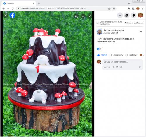 Avis Gâteaux anniversaire 3D Beau Jolie Bon Très Bon Ravie Témoignages Sheselles