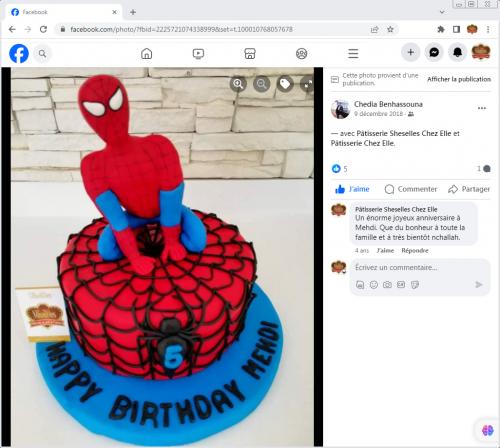 Avis Gâteaux anniversaire 3D Beau Jolie Bon Très Bon Ravie Témoignages Sheselles