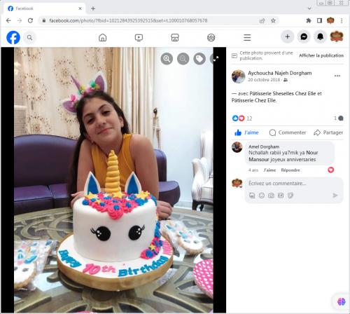 Avis Gâteaux anniversaire 3D Beau Jolie Bon Très Bon Ravie Témoignages Sheselles