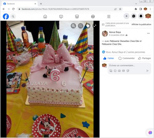 Avis Gâteaux anniversaire 3D Beau Jolie Bon Très Bon Ravie Témoignages Sheselles