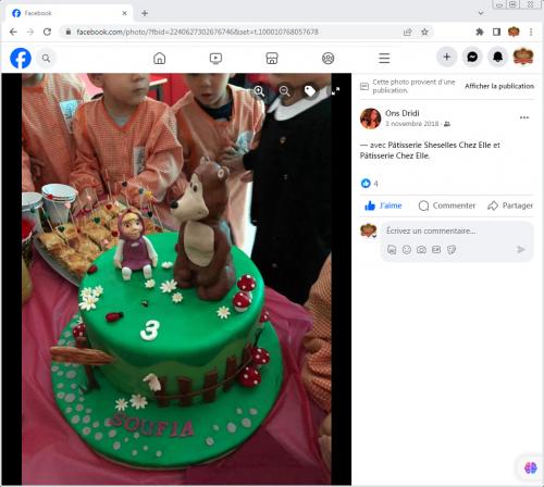Avis Gâteaux anniversaire 3D Beau Jolie Bon Très Bon Ravie Témoignages Sheselles