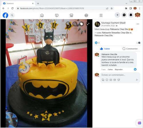Avis Gâteaux anniversaire 3D Beau Jolie Bon Très Bon Ravie Témoignages Sheselles