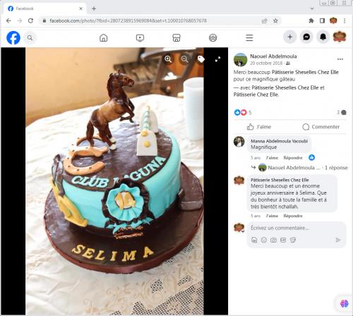 Avis Gâteaux anniversaire 3D Beau Jolie Bon Très Bon Ravie Témoignages Sheselles