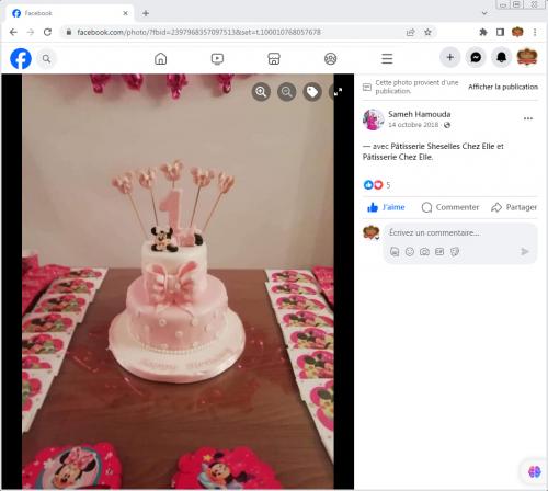 Avis Gâteaux anniversaire 3D Beau Jolie Bon Très Bon Ravie Témoignages Sheselles