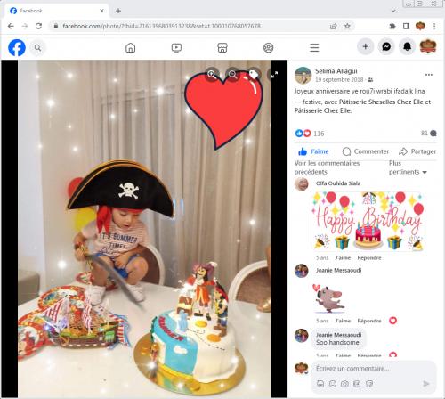 Avis Gâteaux anniversaire 3D Beau Jolie Bon Très Bon Ravie Témoignages Sheselles