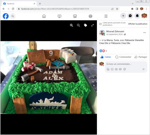 Avis Gâteaux anniversaire 3D Beau Jolie Bon Très Bon Ravie Témoignages Sheselles