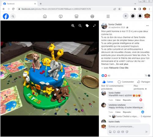 Avis Gâteaux anniversaire 3D Beau Jolie Bon Très Bon Ravie Témoignages Sheselles