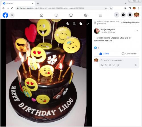 Avis Gâteaux anniversaire 3D Beau Jolie Bon Très Bon Ravie Témoignages Sheselles
