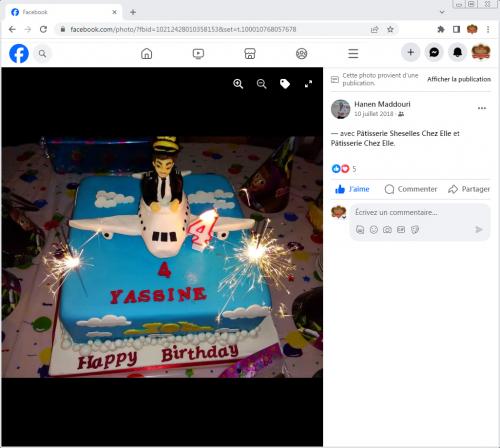 Avis Gâteaux anniversaire 3D Beau Jolie Bon Très Bon Ravie Témoignages Sheselles