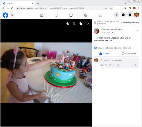 Avis Gâteaux anniversaire 3D Beau Jolie Bon Très Bon Ravie Témoignages Sheselles