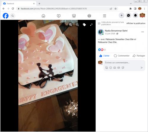 Avis Gâteaux anniversaire 3D Beau Jolie Bon Très Bon Ravie Témoignages Sheselles