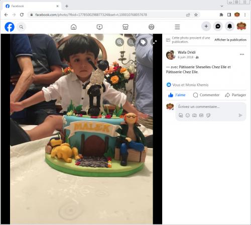 Avis Gâteaux anniversaire 3D Beau Jolie Bon Très Bon Ravie Témoignages Sheselles
