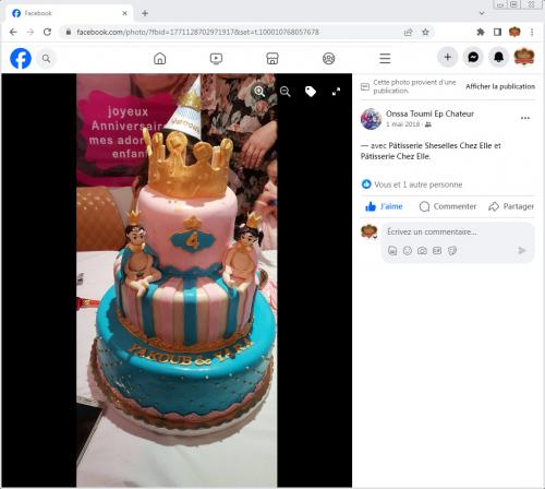 Avis Gâteaux anniversaire 3D Beau Jolie Bon Très Bon Ravie Témoignages Sheselles