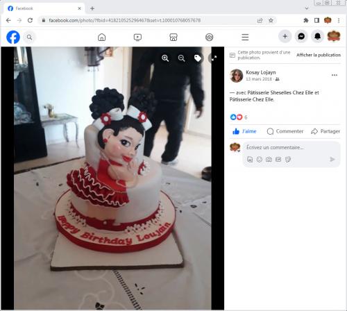 Avis Gâteaux anniversaire 3D Beau Jolie Bon Très Bon Ravie Témoignages Sheselles