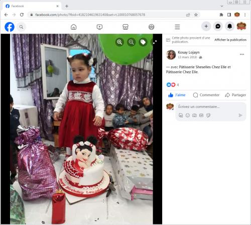 Avis Gâteaux anniversaire 3D Beau Jolie Bon Très Bon Ravie Témoignages Sheselles