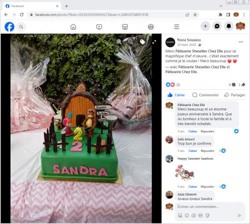 Avis Gâteaux anniversaire 3D Beau Jolie Bon Très Bon Ravie Témoignages Sheselles