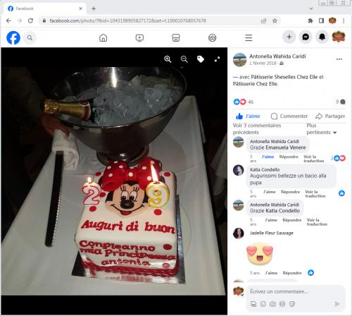 Avis Gâteaux anniversaire 3D Beau Jolie Bon Très Bon Ravie Témoignages Sheselles