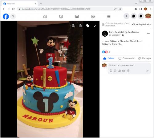 Avis Gâteaux anniversaire 3D Beau Jolie Bon Très Bon Ravie Témoignages Sheselles