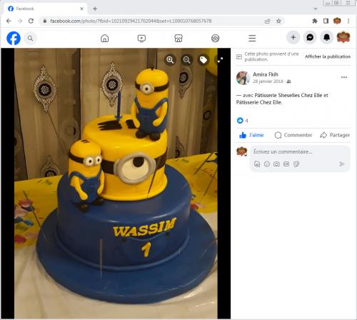 Avis Gâteaux anniversaire 3D Beau Jolie Bon Très Bon Ravie Témoignages Sheselles