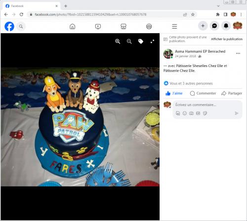 Avis Gâteaux anniversaire 3D Beau Jolie Bon Très Bon Ravie Témoignages Sheselles
