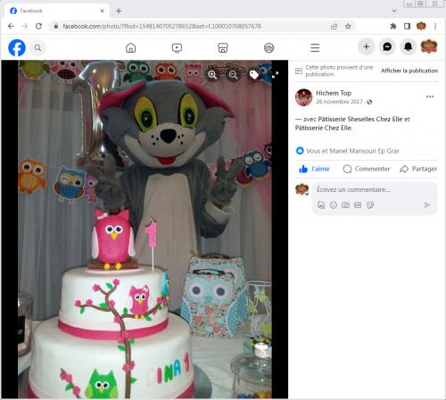 Avis Gâteaux anniversaire 3D Beau Jolie Bon Très Bon Ravie Témoignages Sheselles